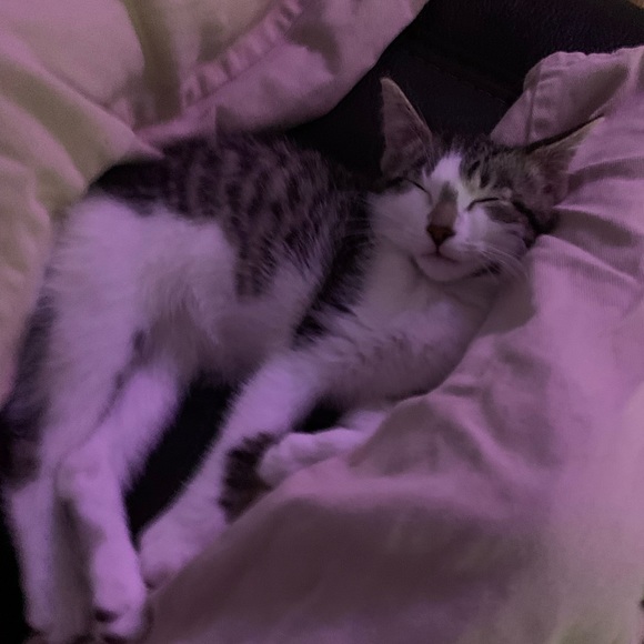 Meet your Posher, Avarie - Picture 1 of 1